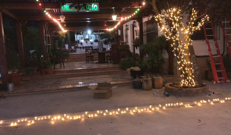 73F9F916-4B79-4529-87D0-911D6E59F665